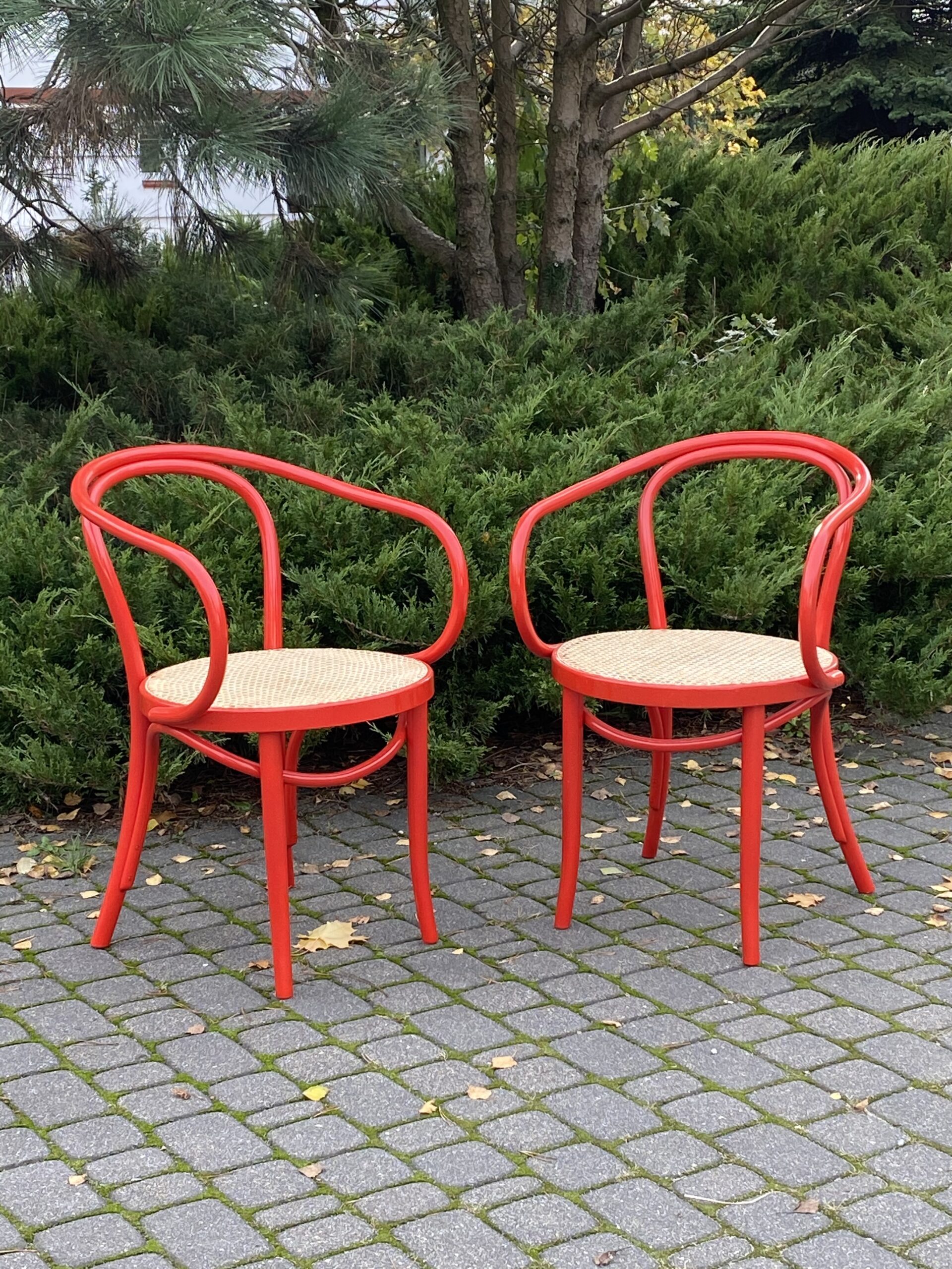 Kolorowe meble gięte z plecionką rattanową – nowoczesne oblicze eco-designu