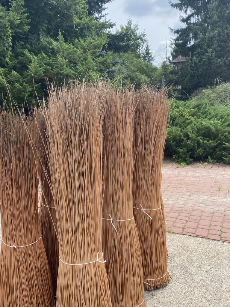 Wiązki wikliny stoją w grupie na tle zielonego ogrodu