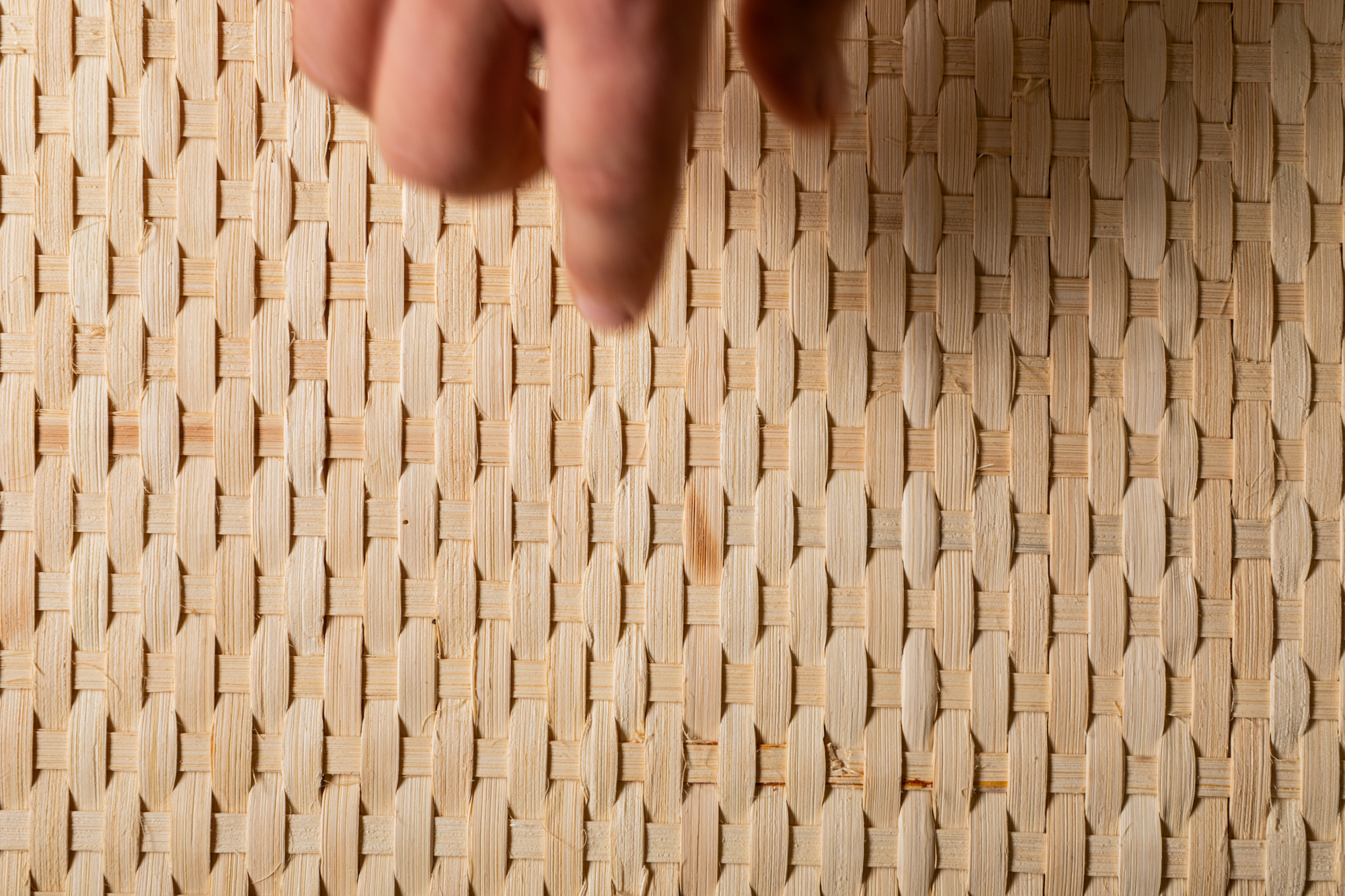 Atlas wzorców (03/12): ŚLAD – pamięć gestu