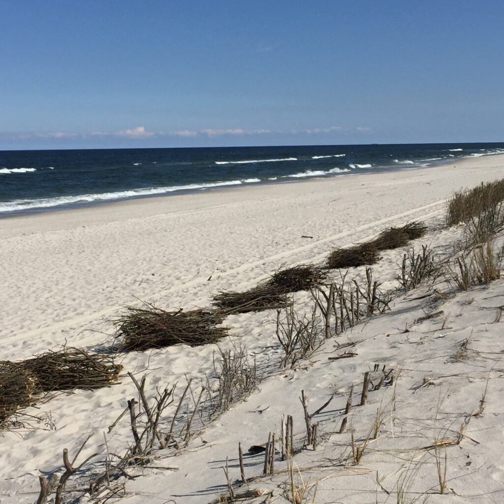 widok na wiązki faszyna na plaży w tle fale morskie