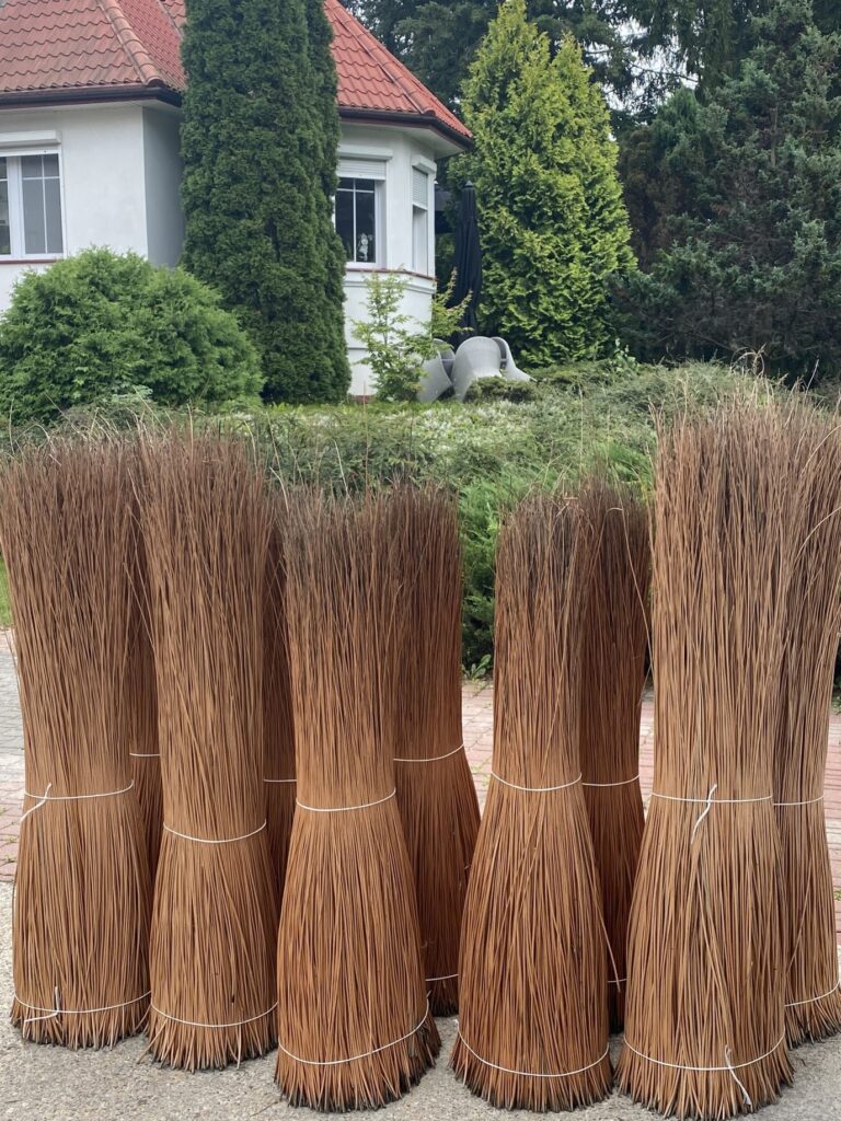 wiązki wikliny bez kory w kolorze naturalnym
