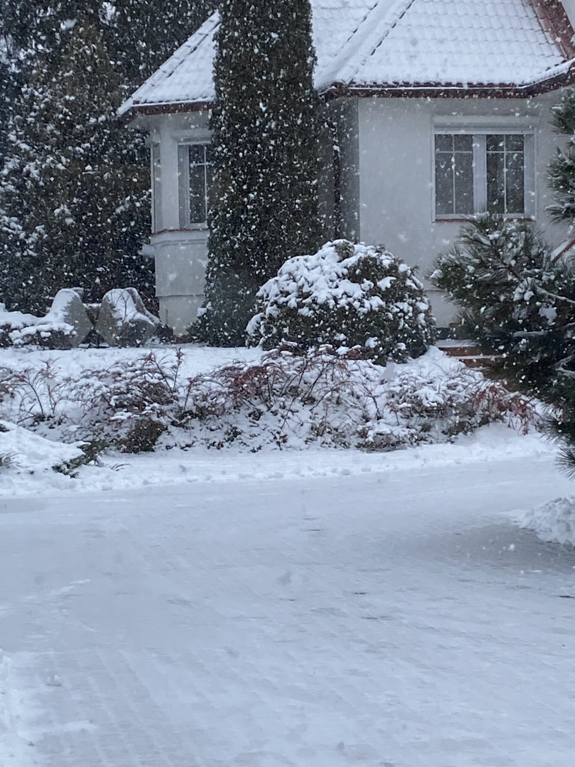 Nowy Rok w rytmie slow – kilka prostych afirmacji na początek