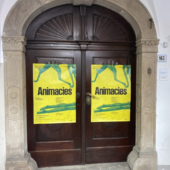 Czy sztuka współczesna potrzebuje instrukcji obsługi? „Animacies” w Merano